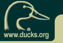 www.ducks.org USA